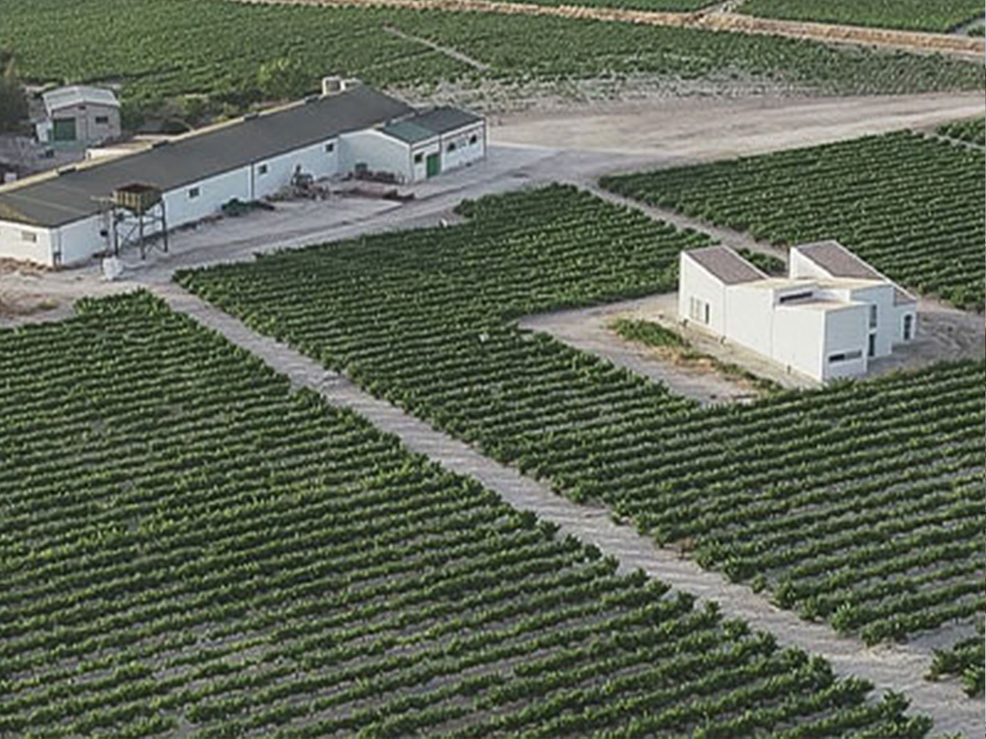 Bodegas El Monte